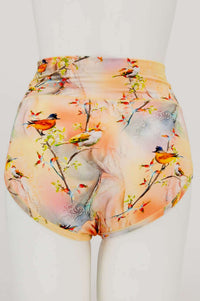 Back view of La Gaunche Birdsong Brief high-waisted underwear with vibrant bird design