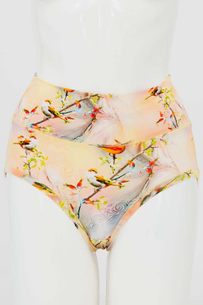 Front view of La Gaunche Birdsong Brief high-waisted underwear with colorful bird print