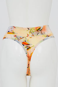 La Thong, Songbird, Bamboo